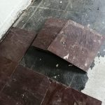 IMG_1135 IMG_1135